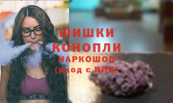 тгк Алексин
