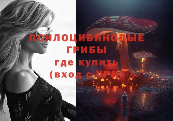 тгк Алексин