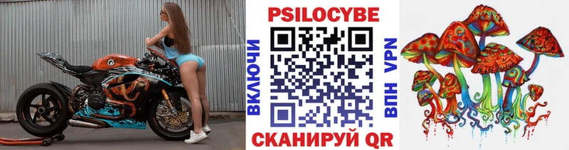 мориарти формула  Сатка  Галлюциногенные грибы Cubensis 