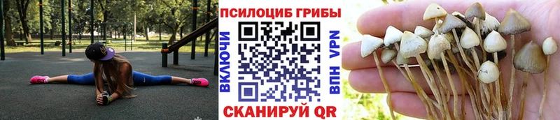 Псилоцибиновые грибы MAGIC MUSHROOMS Сатка